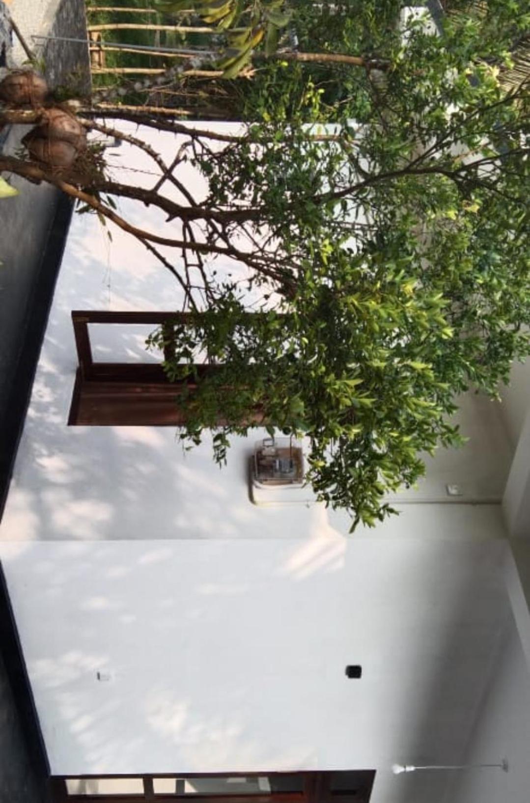 Villa Elegant - Weligama Eksteriør billede
